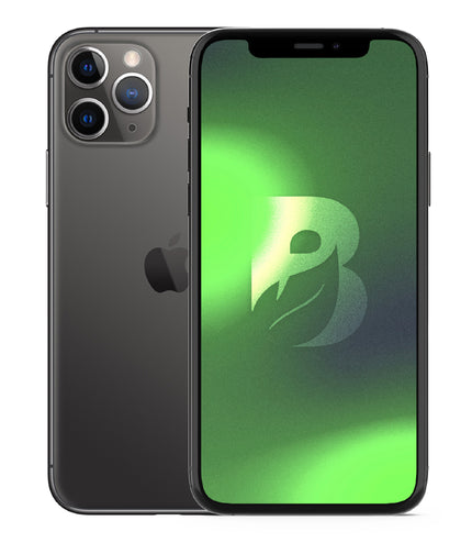 iPhone 11 Pro 256GB - Gris Espacial