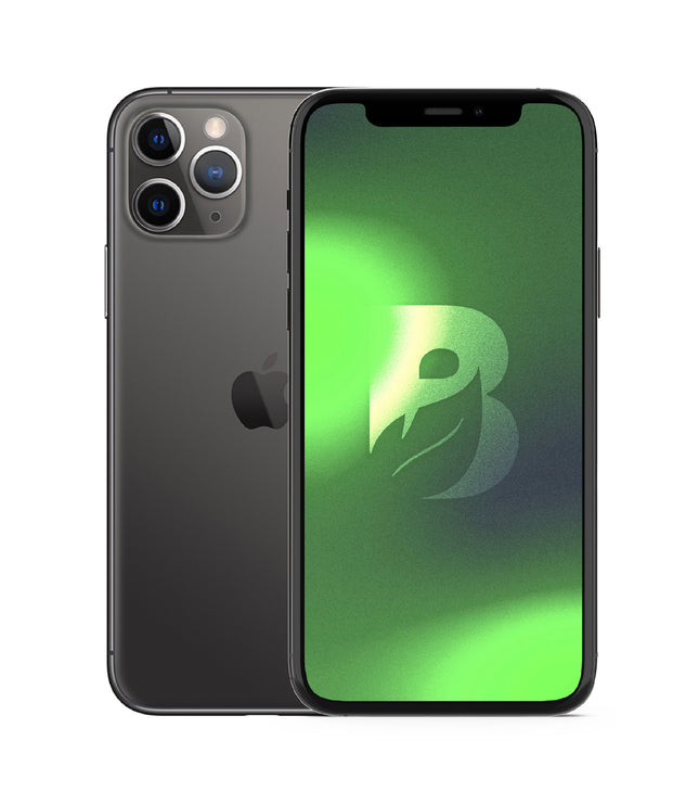iPhone 11 Pro Max 256GB - Gris Espacial