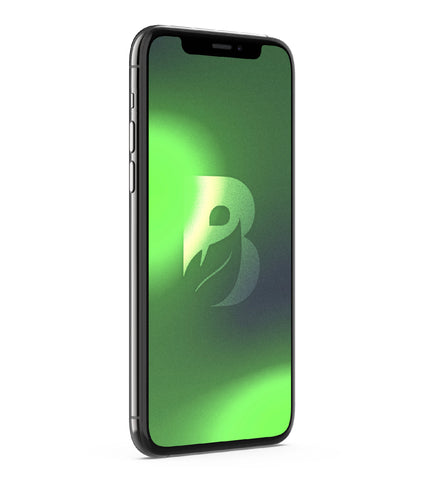 iPhone 11 Pro 256GB - Gris Espacial