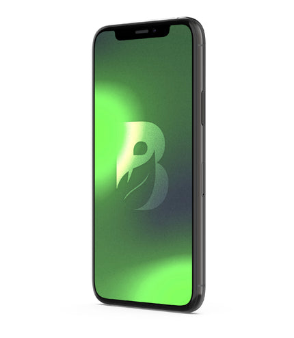 iPhone 11 Pro 256GB - Gris Espacial