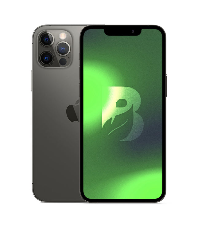 iPhone 12 Pro Max 128GB - Grafito